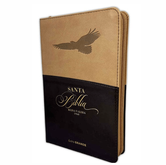 Biblia RVR60 025czti PJR - Expresión. Café/café. Águila