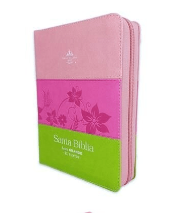 RVR60 045czti LG PJR Tricolor Rosa/fucsia/lima