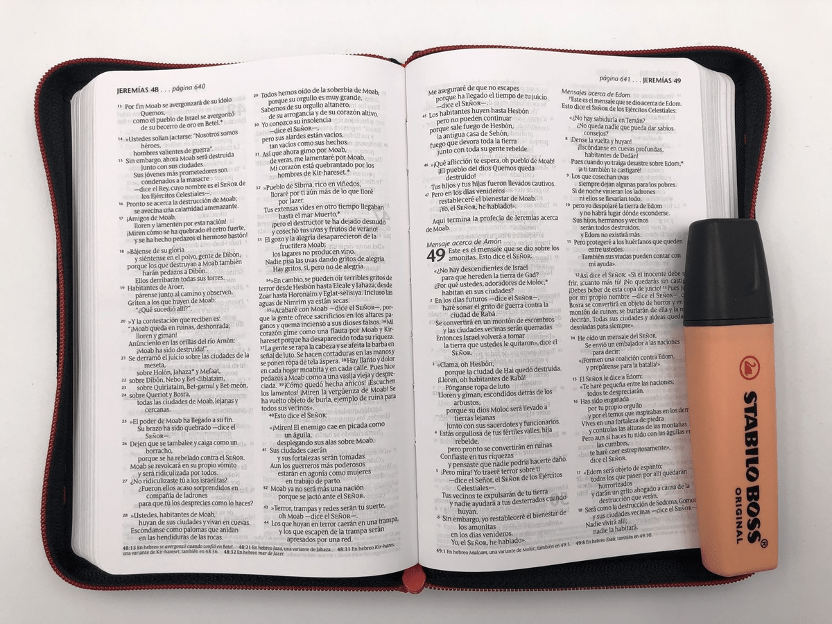 Biblia Nueva Traducción Viviente Letra Compacta Canto plateado Cierre Gris