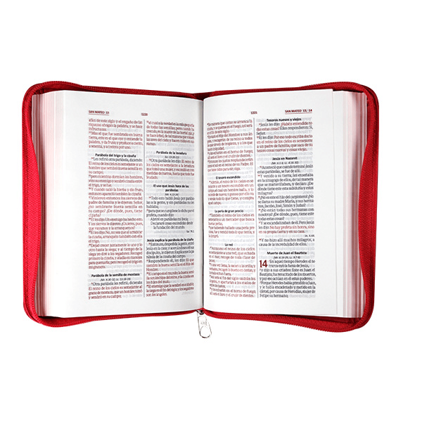 Biblia Reina Valera 1960 Concordancia Cierre Mediana Letra 9 Puntos Fucsia Qr Edición Especial