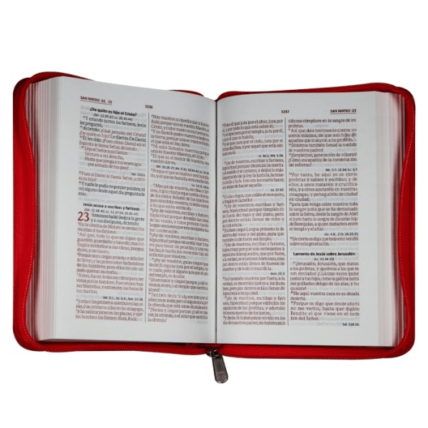Biblia Reina Valera 1960 Concordancia Cierre Chica 12x17Cm Letra 6 Puntos Fucsia Qr Edicion Especial