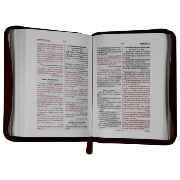 Biblia Reina Valera 1960 Concordancia Cierre Chica 12x17Cm Letra 6 Puntos Castaño Qr Edición Especial