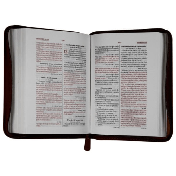 Biblia Reina Valera 1960 Concordancia Cierre Chica 12x17Cm Letra 6 Puntos Castaño Qr Edición Especial