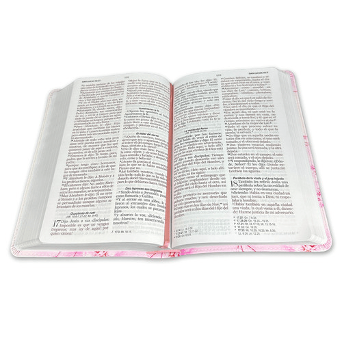 Biblia Reina Valera 1960 Letra Grande PJR Flex Flores Rosas