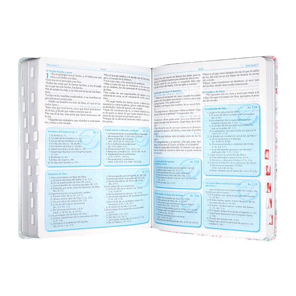 Biblia Reina Valera 1960 Para La Predicacion Verde Con Rosas