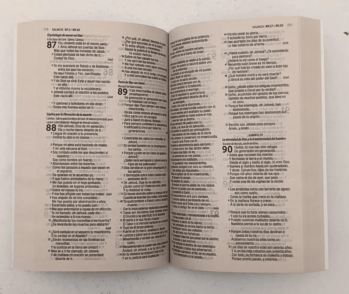 Biblia Reina Valera 1960 1M Celeste Azul Económica