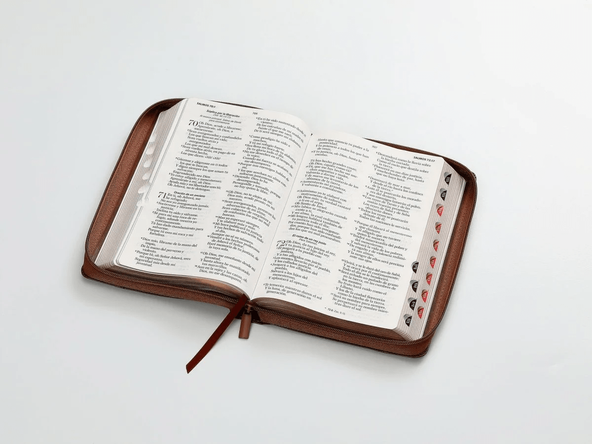 Biblia Reina Valera 1960 · 13,8x21,2 cm · Letra grande 12,5 pt · Con cierre e índice · Colección Inspiración Ichtus café