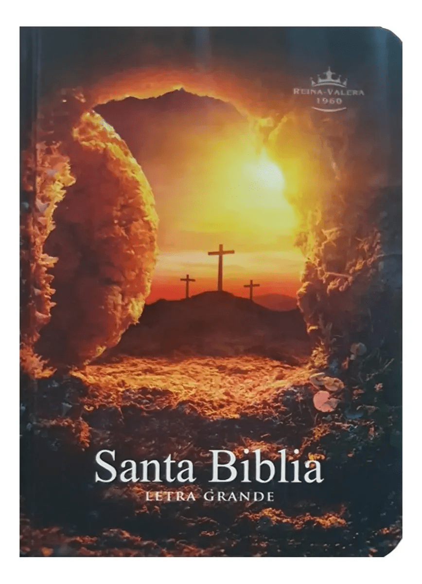 Biblia Reina Valera 1960 letra Estándar pjr Tapa Dura colores Piedra