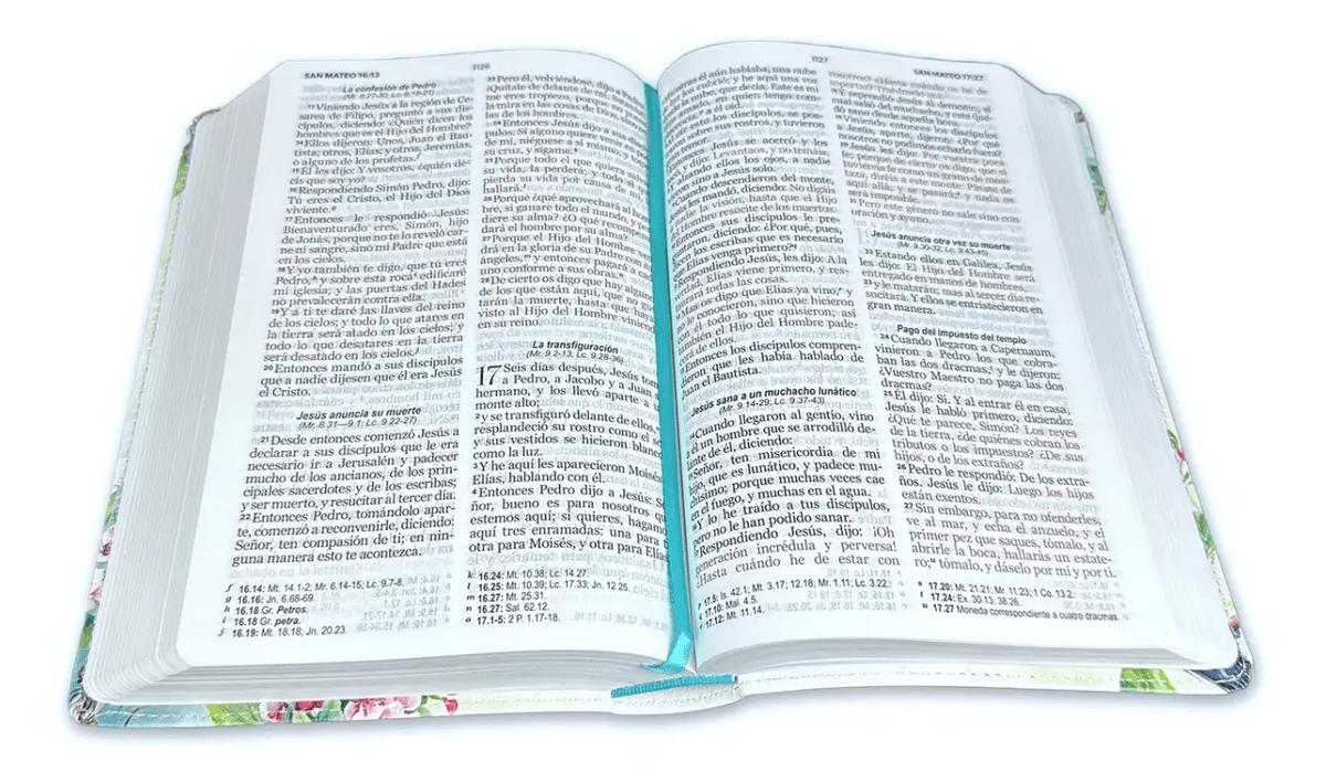 Biblia Reina Valera 1960 · 11x16 cm · Letra 12 pt · Tapa imitación piel · Colección Supreme pájaro vintage