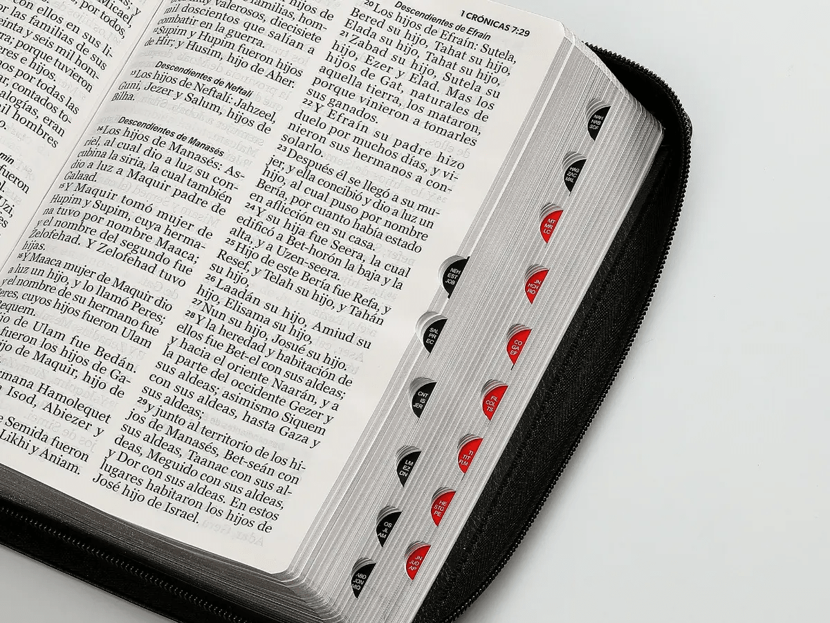 Biblia Reina Valera 1960 · 13,8x21,2 cm · Letra gigante 14 pt · Con cierre e índice · Colección Iconic negro y gris