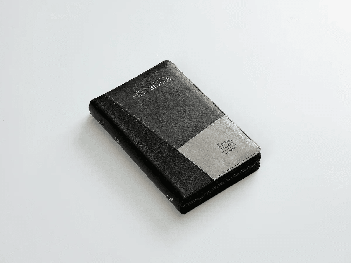 Biblia Reina Valera 1960 · 13,8x21,2 cm · Letra gigante 14 pt · Con cierre e índice · Colección Iconic negro y gris