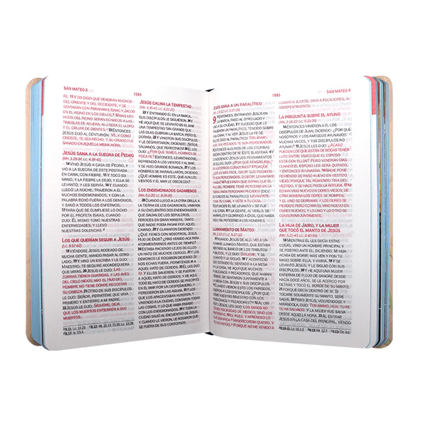 Biblia Reina Valera 1960 Letra Grande PJR Mayúscula tapa Dura rosa