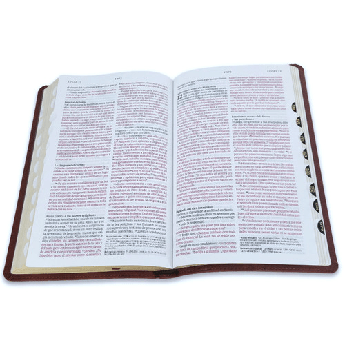 Biblia Nueva Traducción Viviente Letra Mediana Filament PJR Indice Cafe