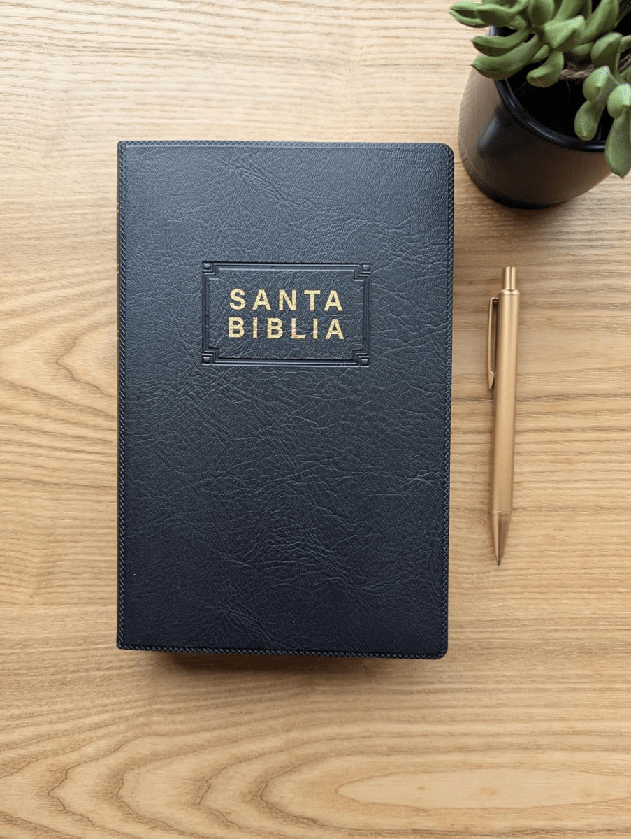 Biblia Nueva Traducción Viviente Edición Premio y Regalo Vinil Negro