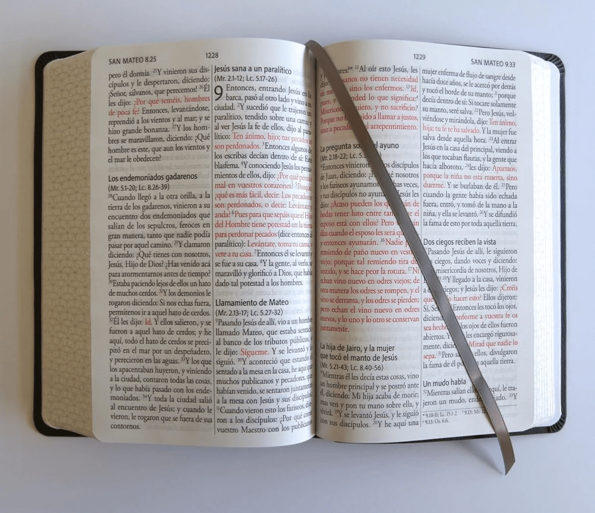 Biblia Reina-Valera 1960, Letra 14 Pt, 14×21, Palabras De Jesús En Rojo, Concordancia, Tapa PU, Gris