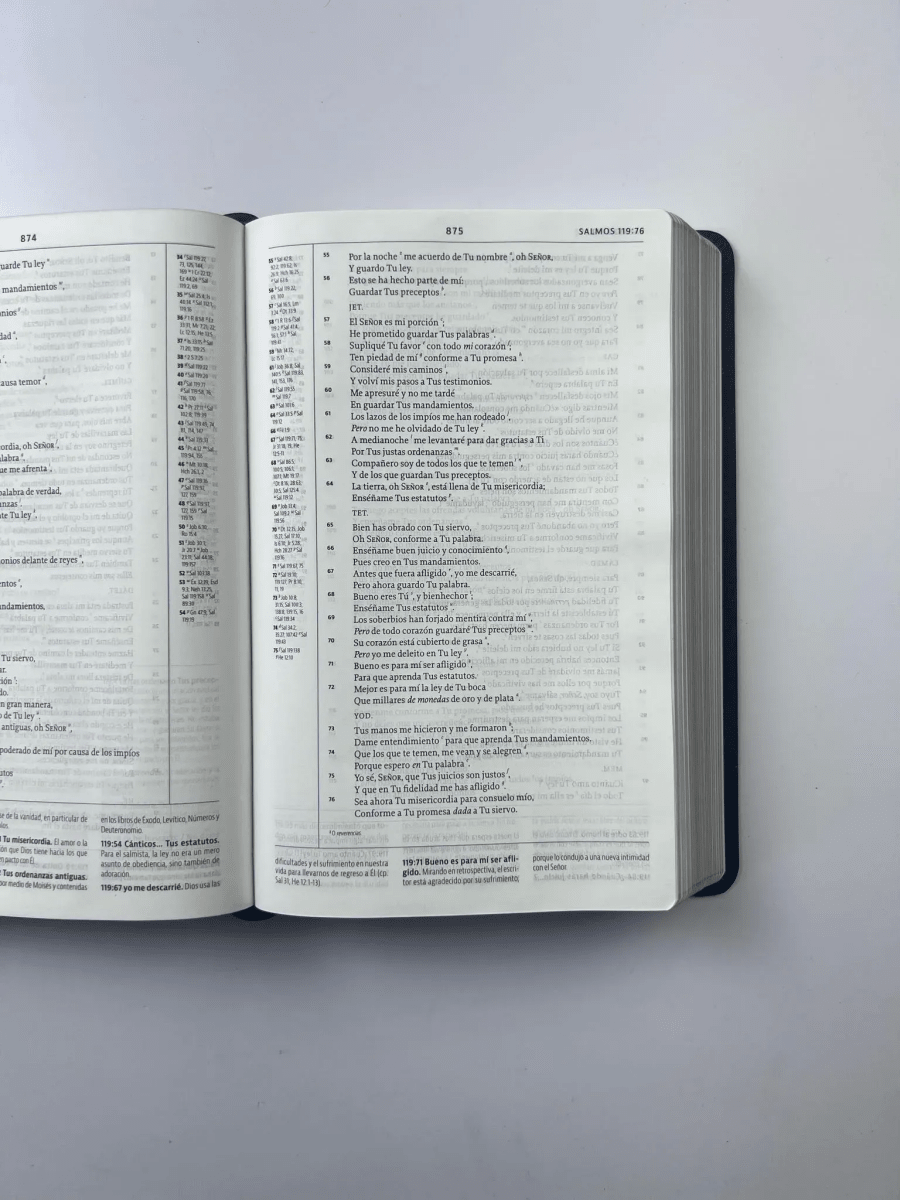 La Biblia De Estudio De La Reforma Nueva Biblia de las Americas Edicion Condensada Simil Piel Gris