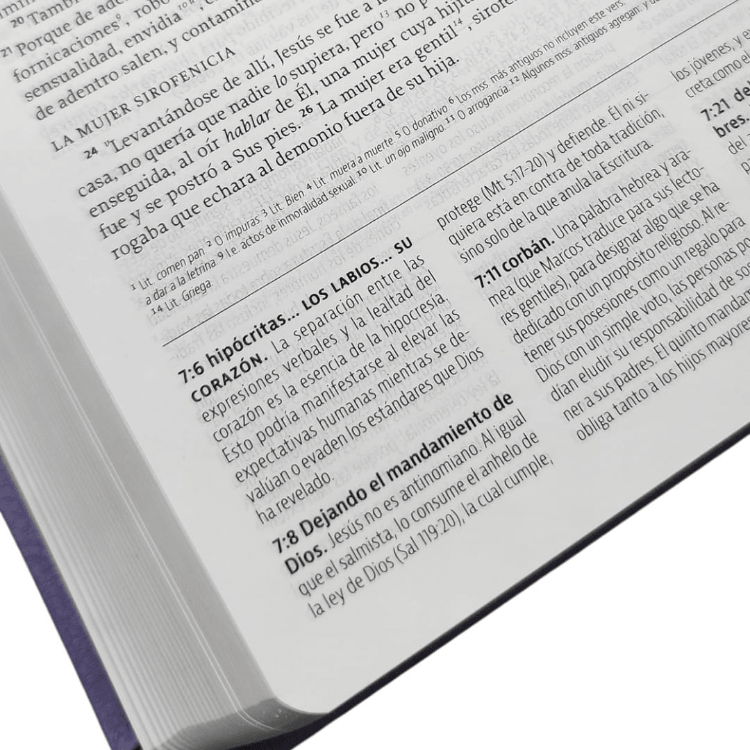 La Biblia De Estudio De La Reforma Nueva Biblia de las Américas Tapa Pu Morado