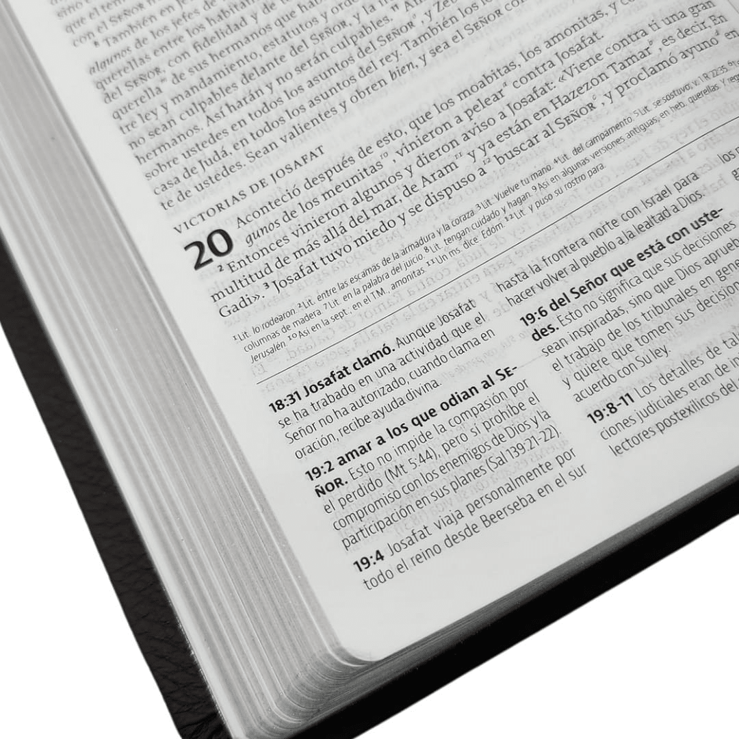 La Biblia De Estudio De La Reforma Nueva Biblia de las Americas Edicion Condensada Piel Genuina Café