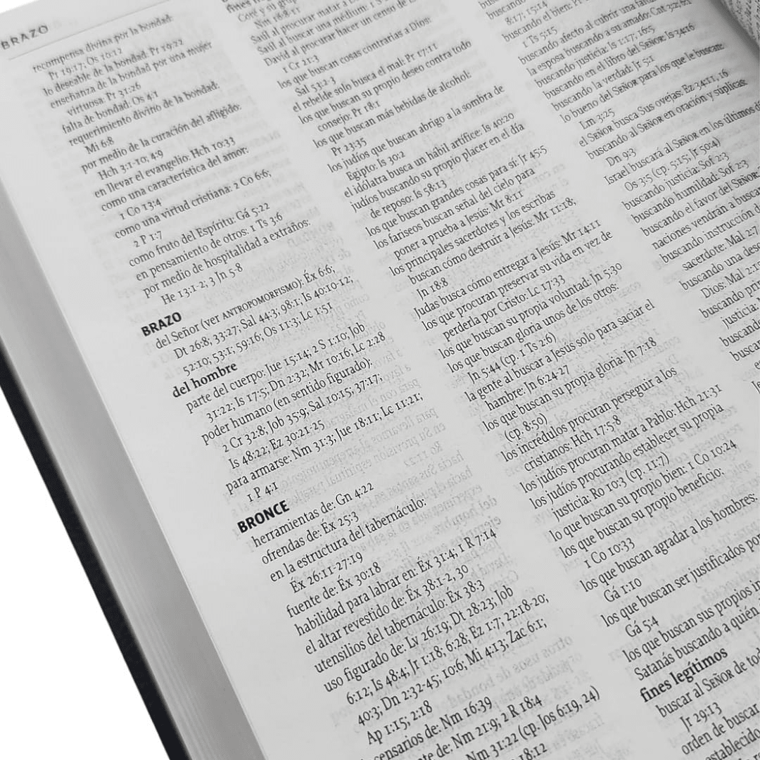 Biblia de Estudio de la Reforma Nueva Biblia de las Americas condensada simil Piel Azul