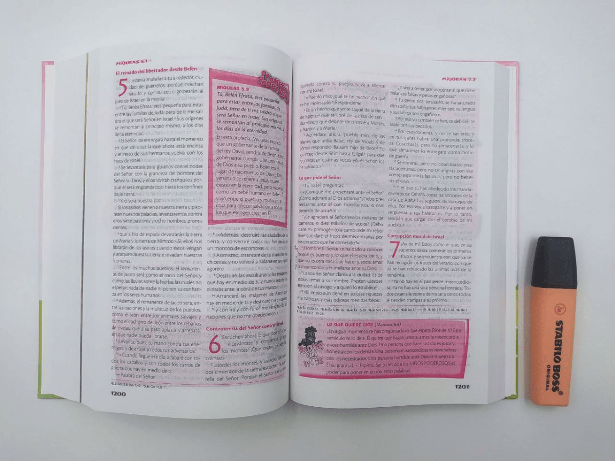 Biblia Reina Valera Contemporánea De Estudio De La Vida Plena Para Niñas Tapa Dura