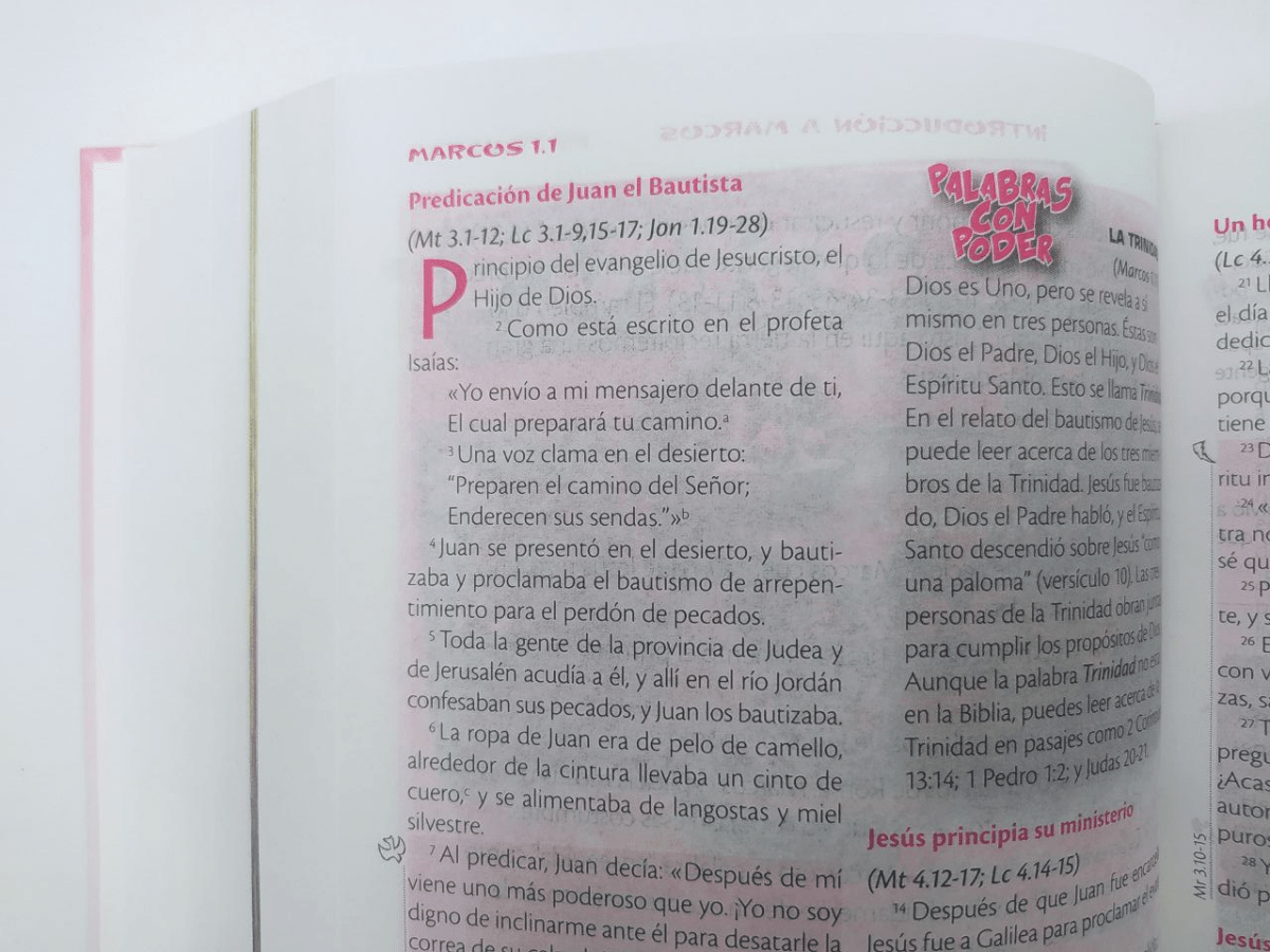 Biblia Reina Valera Contemporánea De Estudio De La Vida Plena Para Niñas Tapa Dura