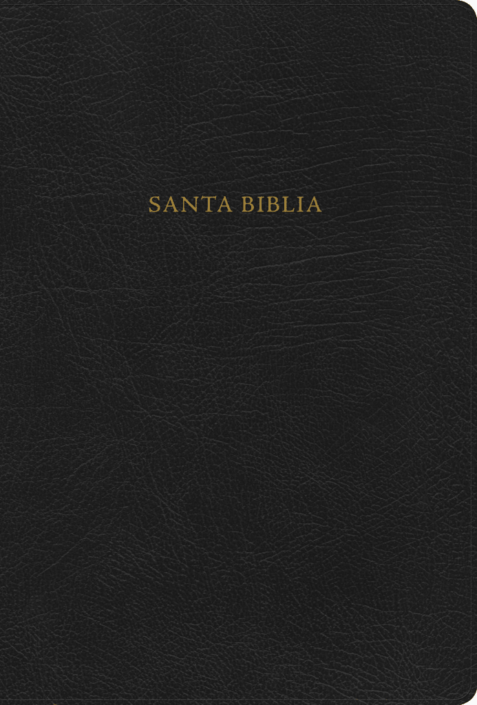 Biblia Reina Valera 1960 De Estudio Scofield Negro Simil Piel
