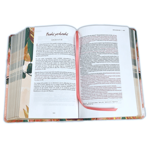 Biblia Devocional Centrada En Cristo, Tap Piel Estudio Mujer