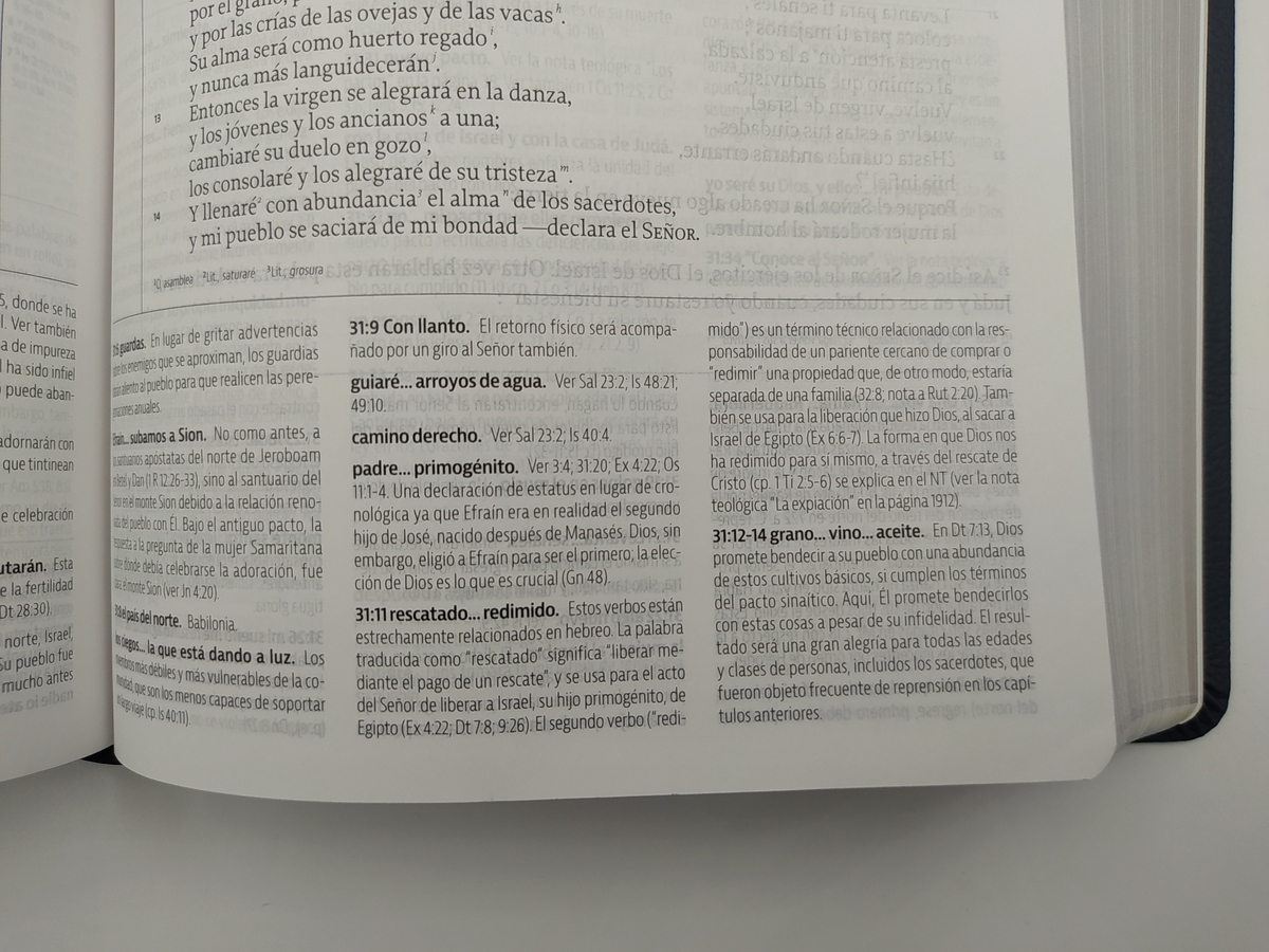 Biblia De Estudio De La Reforma Piel Azul Editor R. C. Sproul