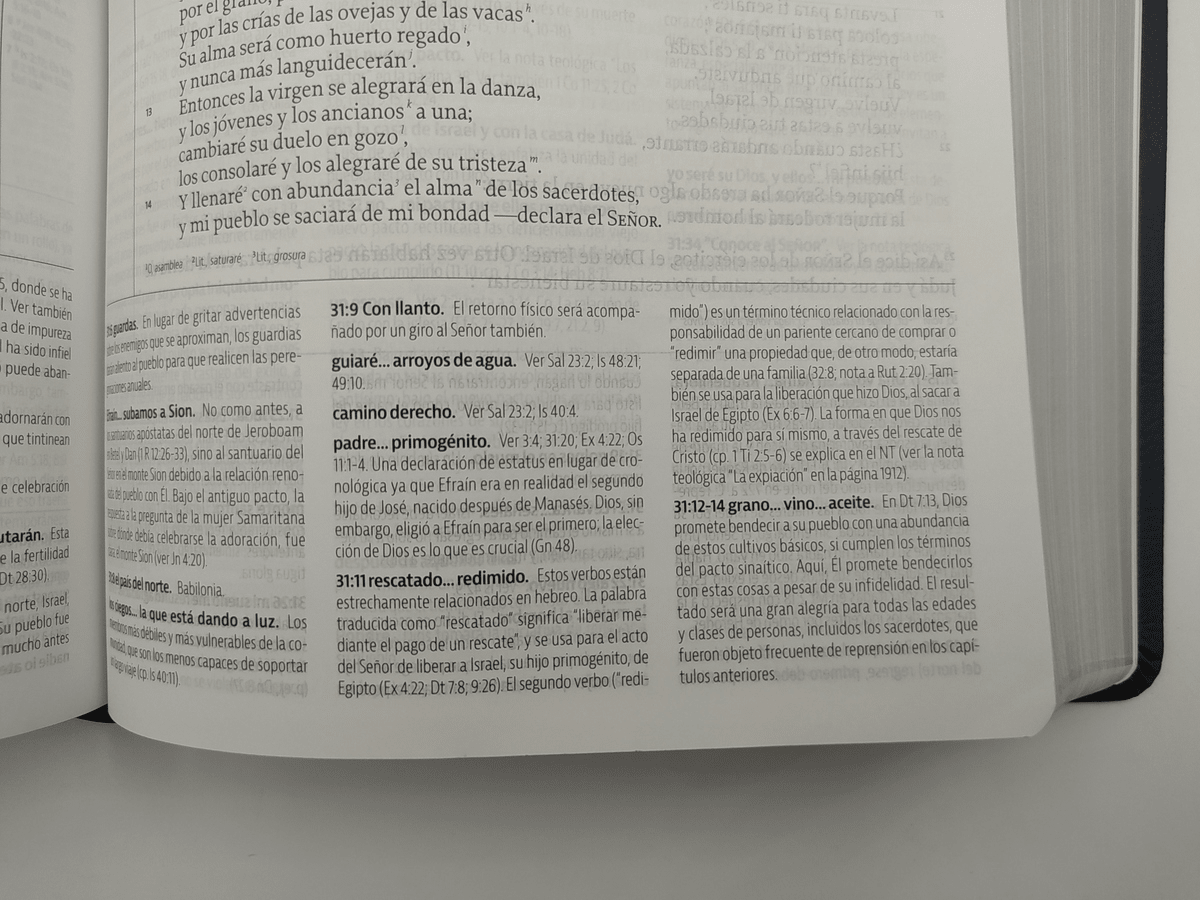 Biblia De Estudio De La Reforma Piel Azul Editor R. C. Sproul