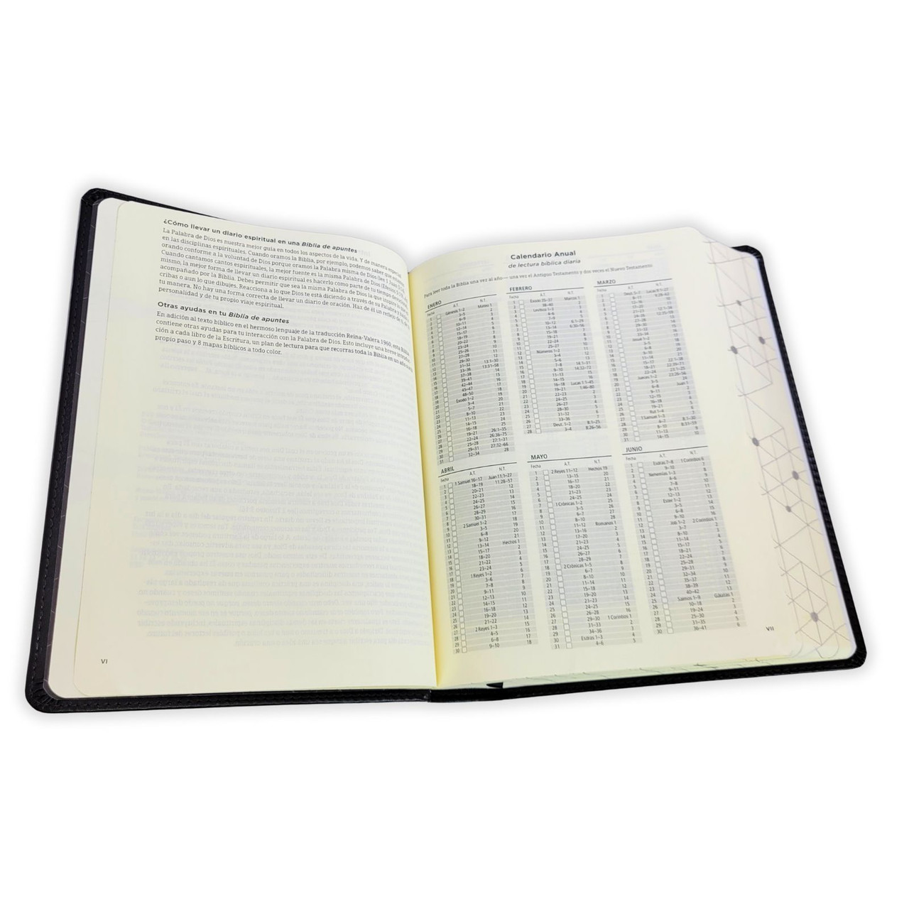 Biblia De Apuntes Color Negro Simil Piel