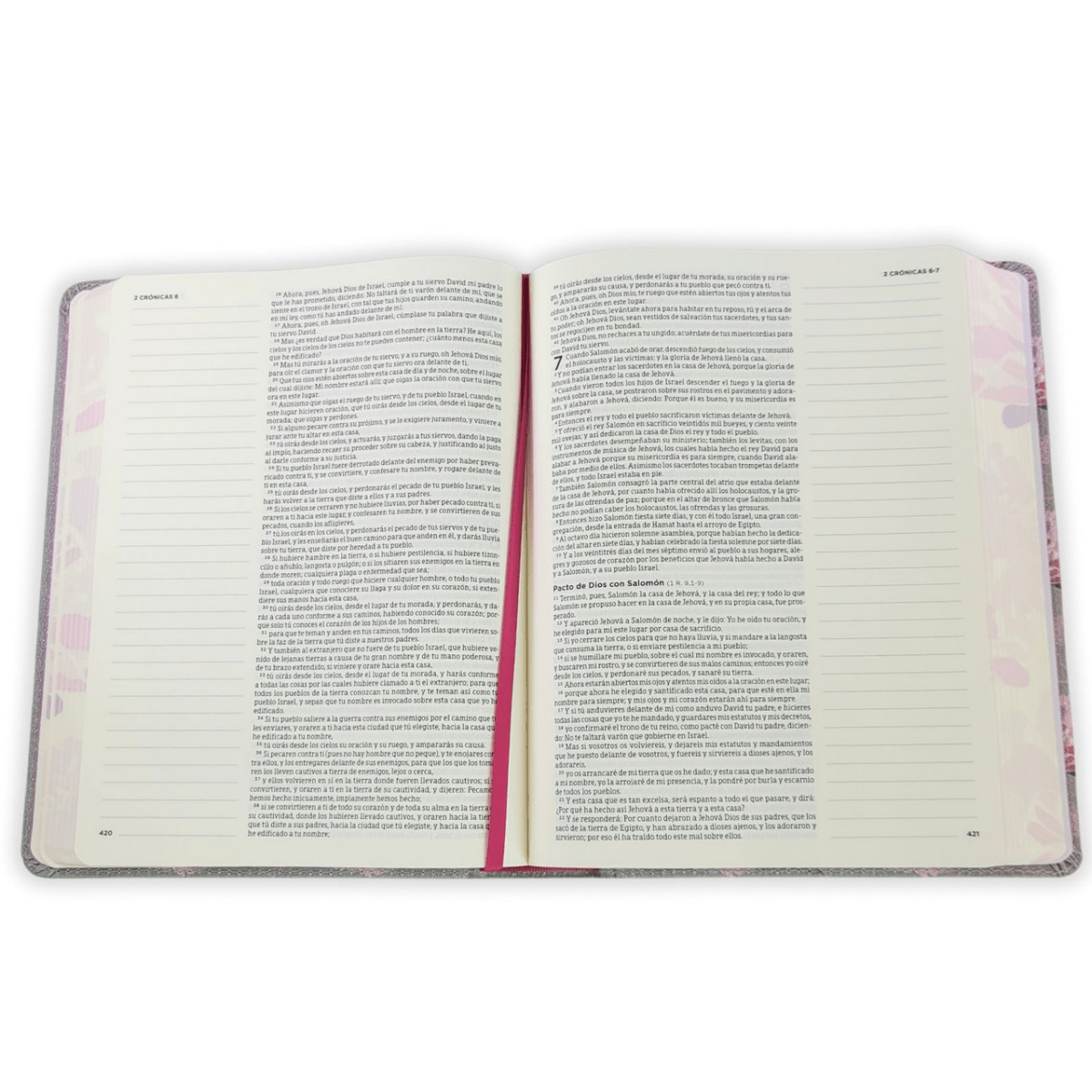 Biblia De Estudio De Apuntes Gris Floreada