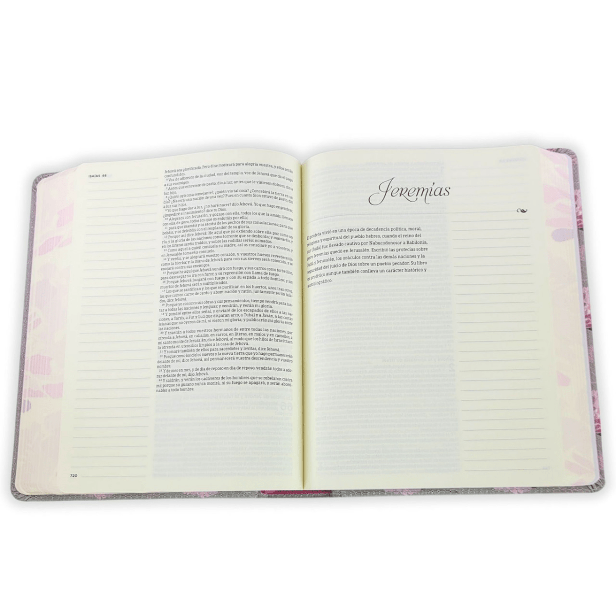 Biblia De Estudio De Apuntes Gris Floreada