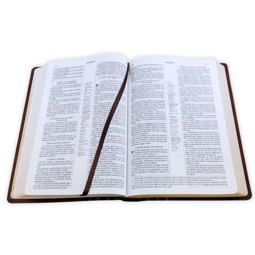Biblia De Estudio Scofield Verde Castaño Simil Piel