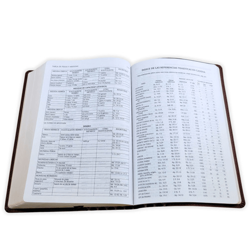 Biblia De Estudio Scofield Verde Castaño Simil Piel