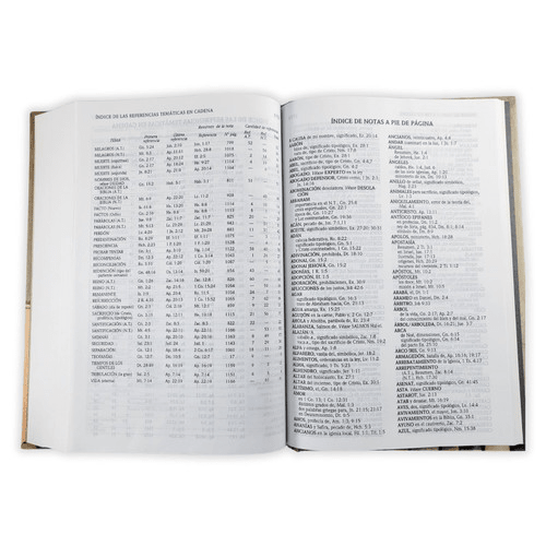 Biblia De Estudio Scofield Tapa Dura Reina Valera 1960