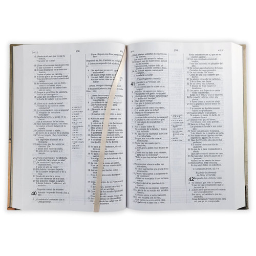 Biblia De Estudio Scofield Tapa Dura Reina Valera 1960