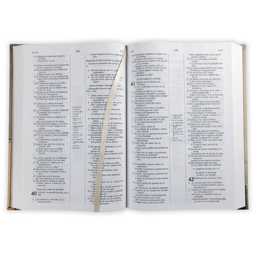 Biblia De Estudio Scofield Tapa Dura Reina Valera 1960