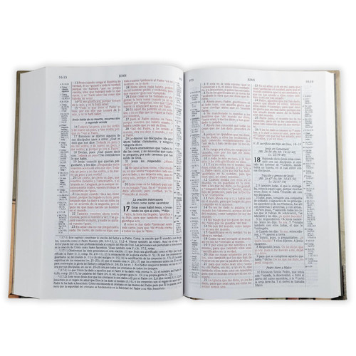 Biblia De Estudio Scofield Tapa Dura Reina Valera 1960