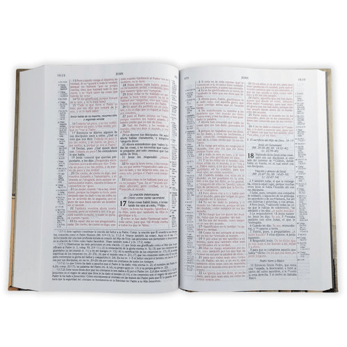 Biblia De Estudio Scofield Tapa Dura Reina Valera 1960