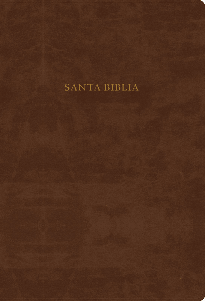 Biblia De Estudio Scofield Tapa Simil Piel Chocolate Reina Valera 1960