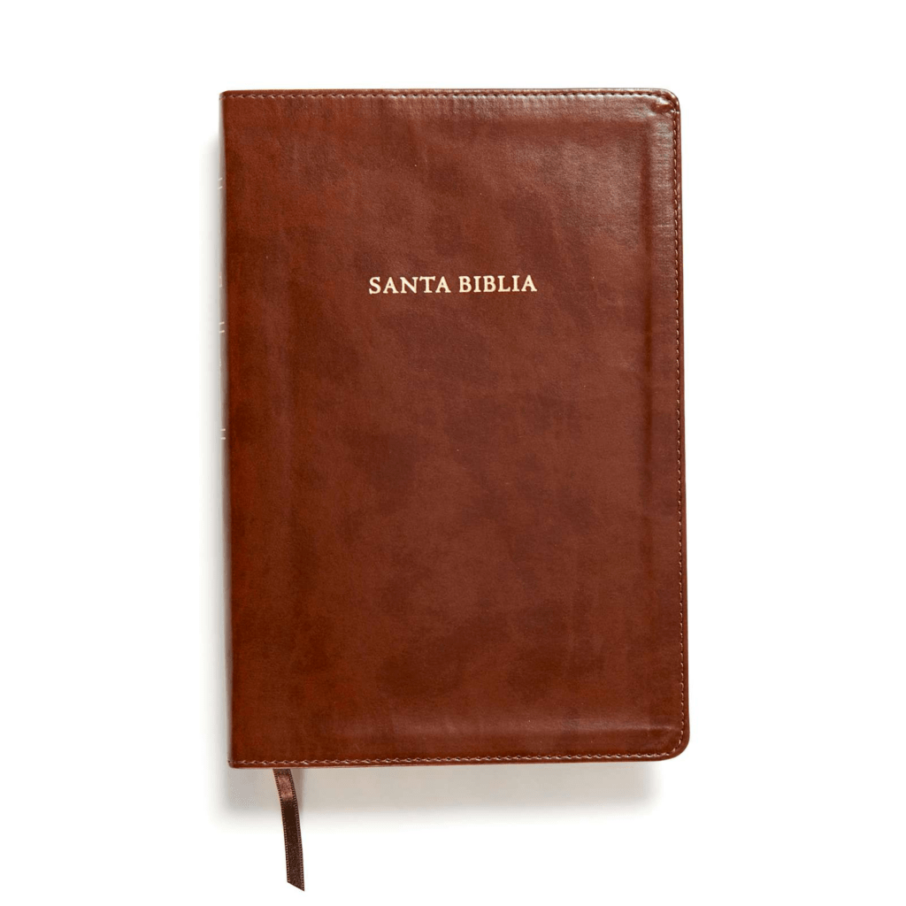 Biblia De Estudio Scofield Tapa Simil Piel Chocolate Reina Valera 1960