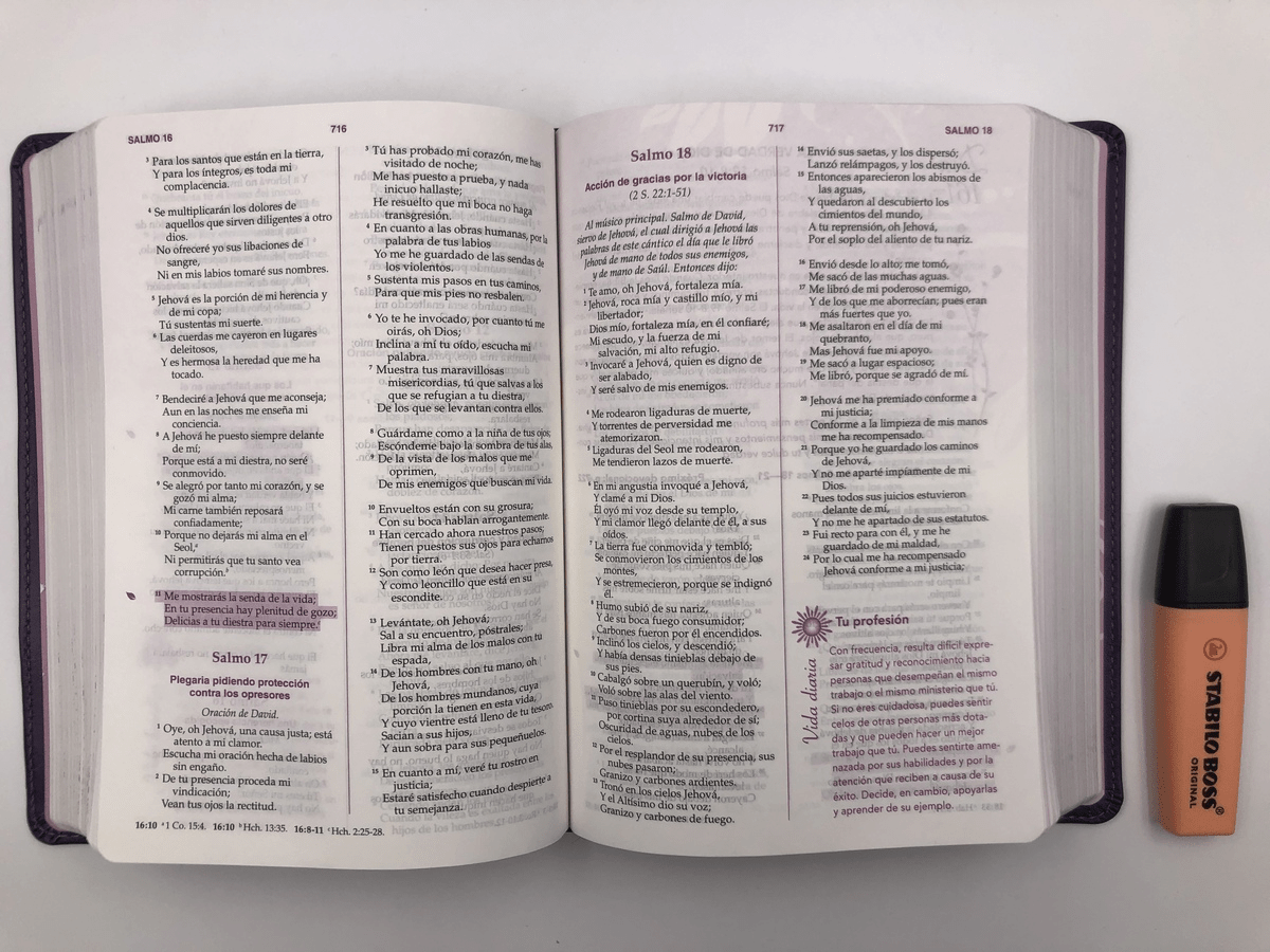 Biblia De Estudio De La Mujer Conforme Al Corazón De Dios Simil piel morado