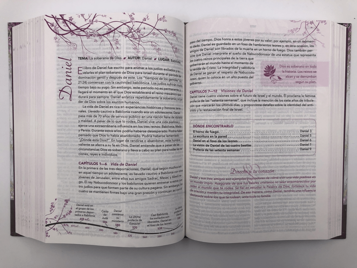 Biblia Estudio De La Mujer Conforme Al Corazón De Dios Tapa dura