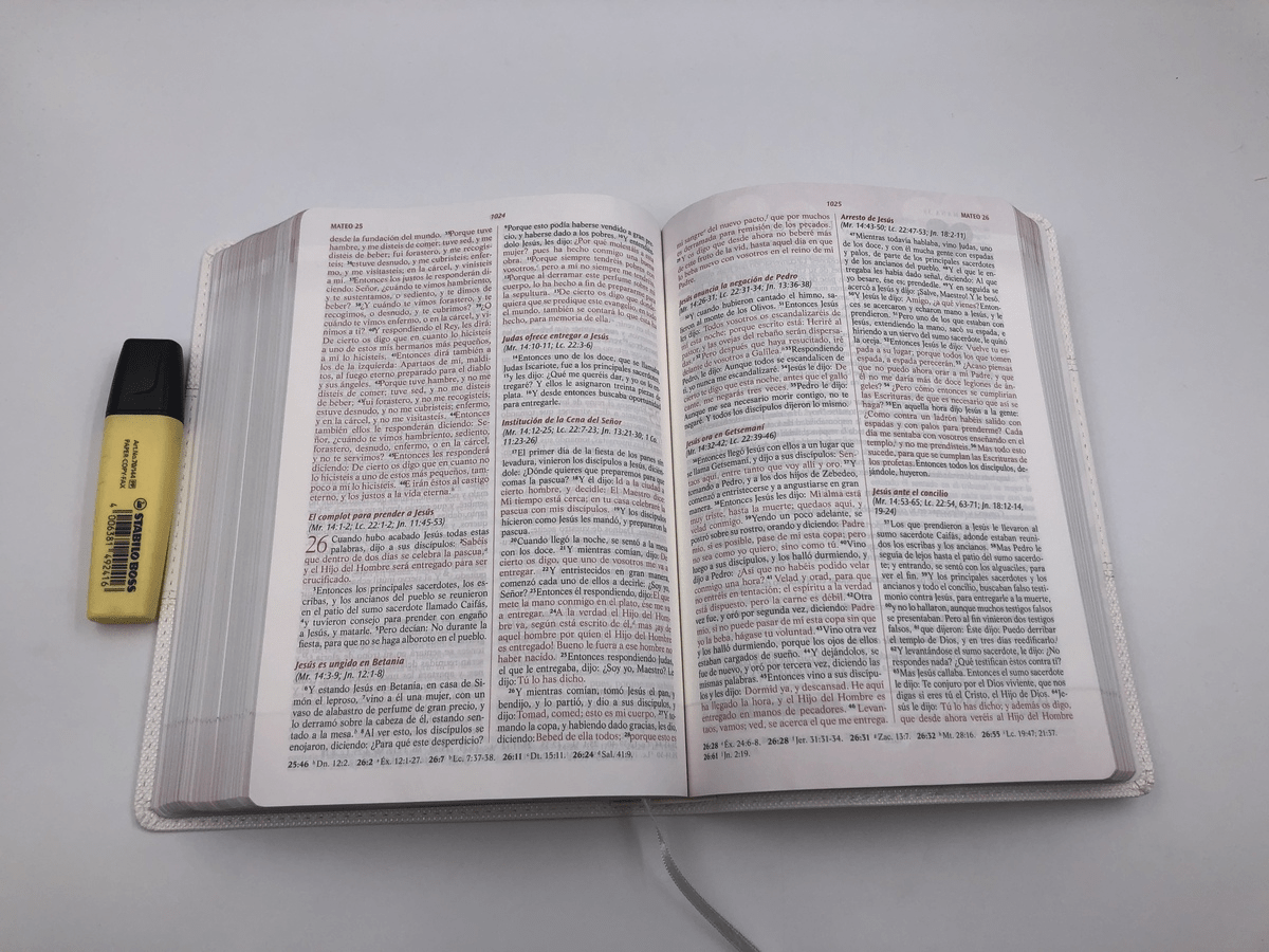 Biblia De Estudio Devocional Los Lenguajes Del Amor Simil piel Blanco