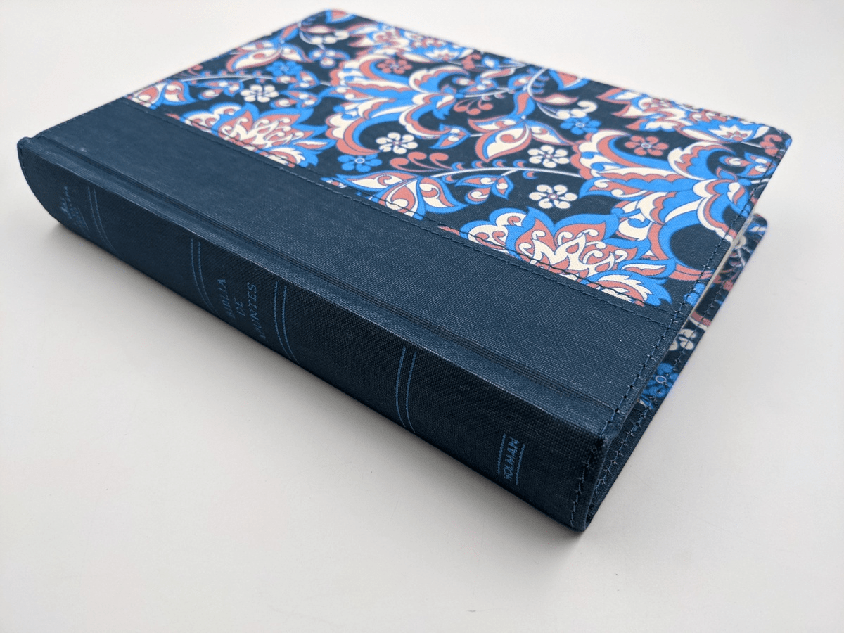 Biblia Reina Valera 1960 de Apuntes Ilustrada tela Rosa y Azul