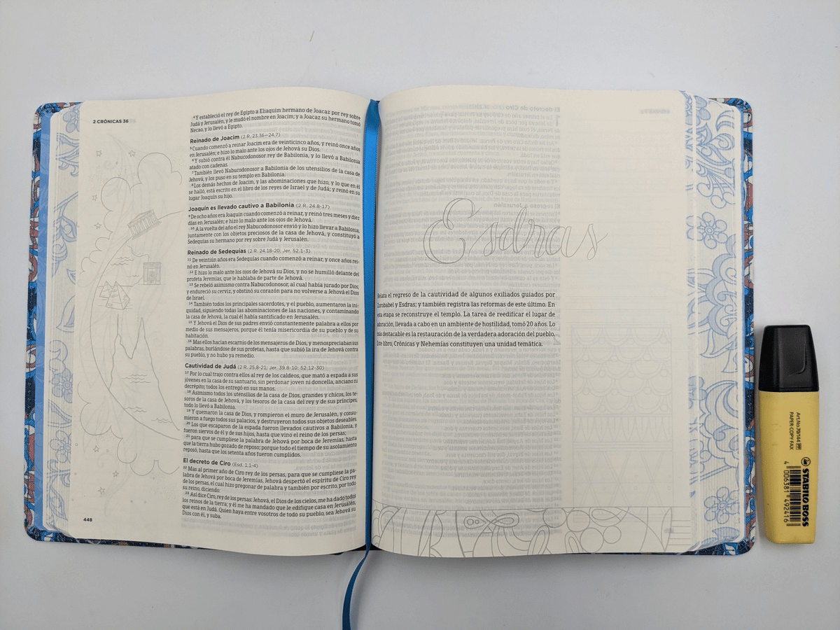 Biblia Reina Valera 1960 de Apuntes Ilustrada tela Rosa y Azul