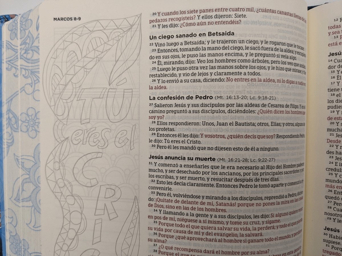 Biblia Reina Valera 1960 de Apuntes Ilustrada tela Rosa y Azul