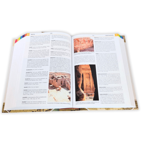 Diccionario Biblico Ilustrado Holman, Varios Autores Estudio