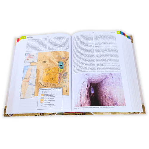 Diccionario Biblico Ilustrado Holman, Varios Autores Estudio
