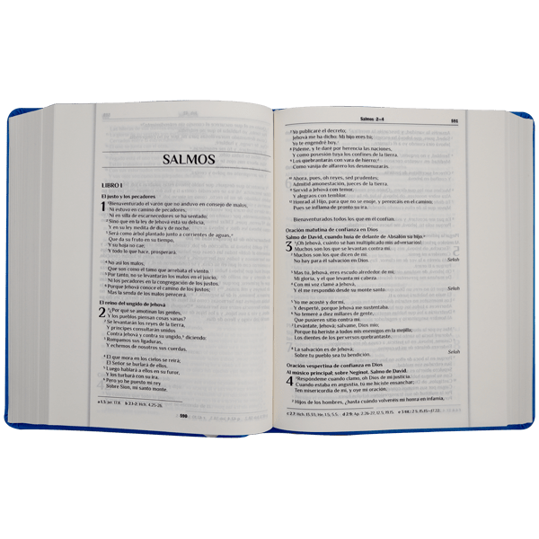 Biblia Devocional 365 Reflexiones Diarias Reina Valera 1960